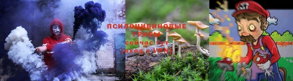 PSILOCYBIN Армянск