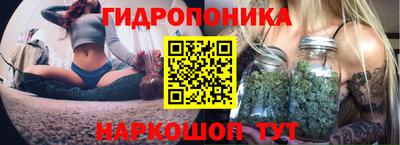 каннабис Гусиноозёрск