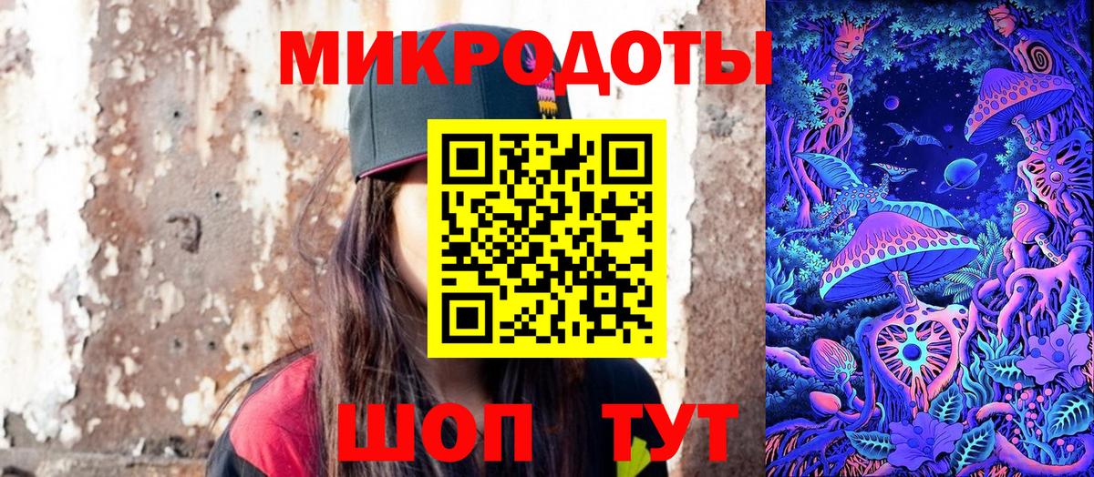 Псилоцибиновые грибы Psilocybine cubensis Майкоп